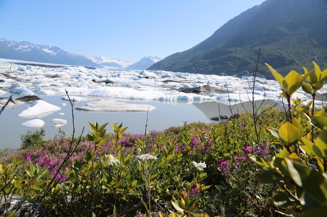 Alaska Glacier Lodge Palmer Exterior photo